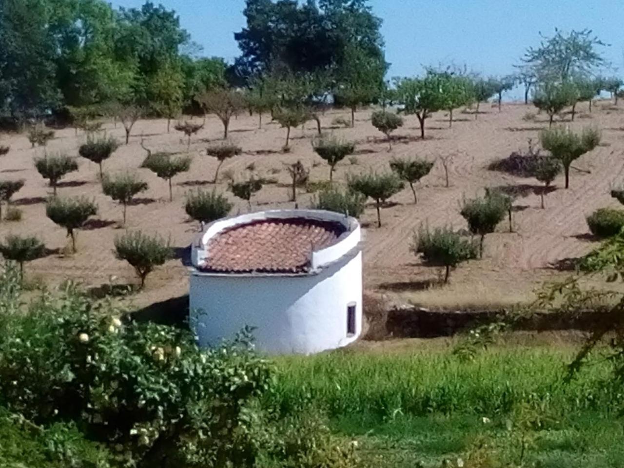 Casa Dos Pombais De Cacarelhos Rural Villa Exterior foto